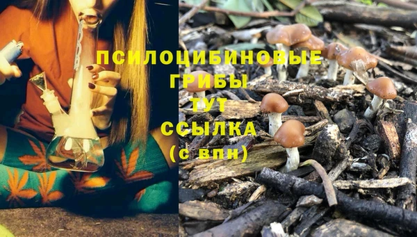 mix Абинск