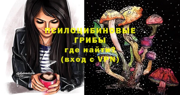 бошки Абаза